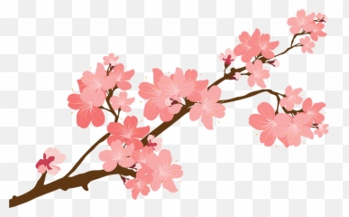 The Best Free Blossom Clipart Images - Transparent Background Sakura Flower Png Emoji