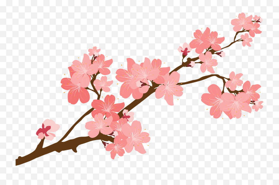 The Best Free Blossom Clipart Images - Transparent Background Sakura Flower Png Emoji,Cherry Blossom Emoji