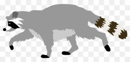 Cute Raccoon Clipart Animal Clip Arts - Raccoon Clipart Emoji,Raccoon Emoji