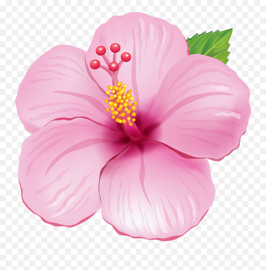 Pin - Hawaiian Flowers Transparent Background Emoji,Hibiscus Emoji