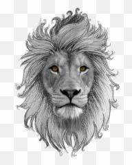 Leo Zodiac Png - Lion Tatto Draw Transparent Emoji