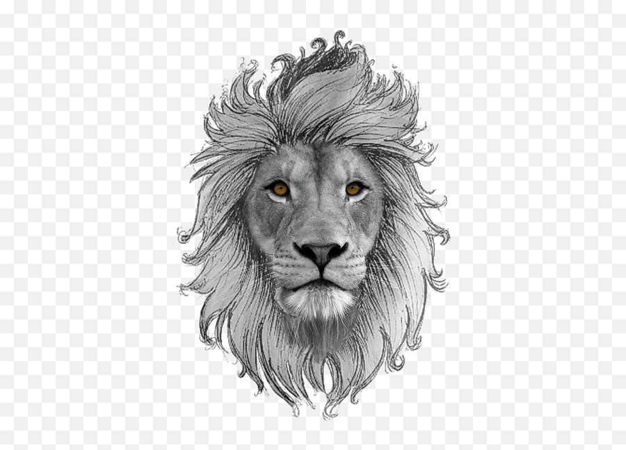 Leo Zodiac Png - Lion Tatto Draw Transparent Emoji,Leo Zodiac Sign Emoji