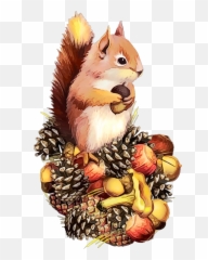 Trending Squirrel Stickers Emoji,Squirrel Emoji