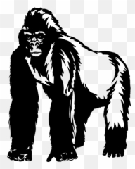Detailed Gorilla Ape Sticker - Ape Decals Emoji,Ape Emoji
