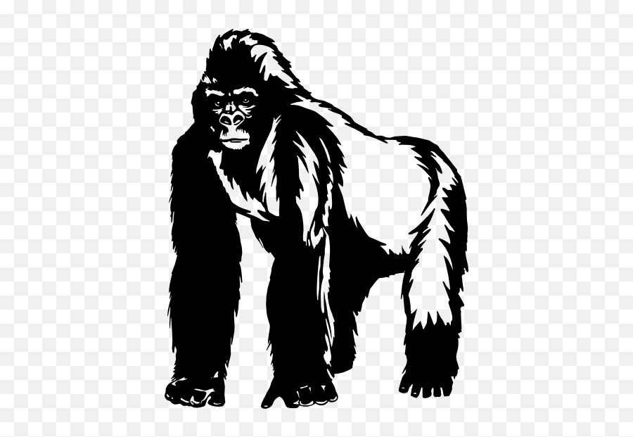 Detailed Gorilla Ape Sticker - Ape Decals Emoji,Ape Emoji