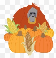 Pumpkin Emoji