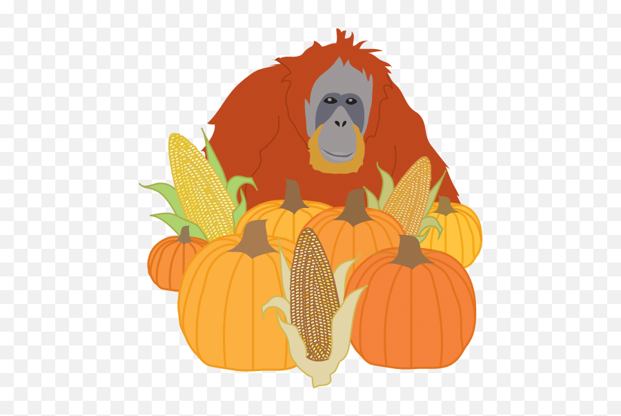 Pumpkin Emoji,Orangutan Emoji