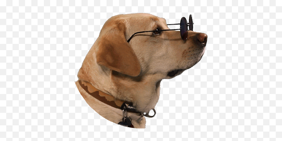 Emoji Meme Gifs Search Find Make Share - Doge Dance Gif Transparent,Doge Emoji