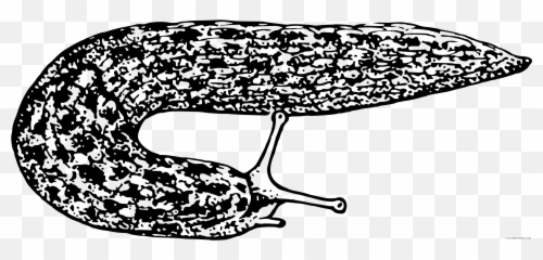 Animal Coloring Pages Slug Png - Coloring Pages Printable Slug Emoji,Slug Emoji