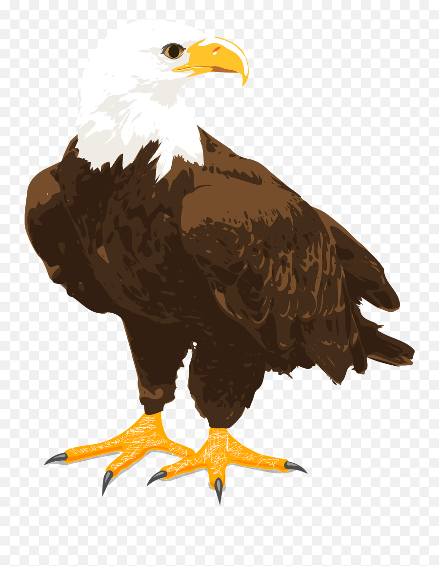 Bald Eagle Clipart - Clip Art Bald Egale Emoji,Bald Eagle Emoji