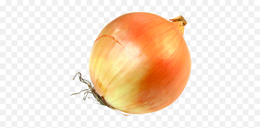 Free Onion Transparent Background Download Free Clip Art - Onion Transparent Emoji,Onion Emoji