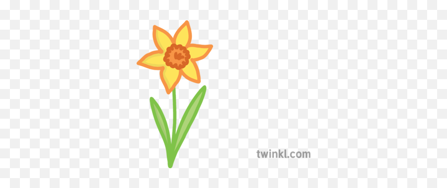 Spring Daffodil Flower All About Me Emoji Worksheet English - Susan,Emoji Flower