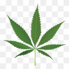 Weed Png And Vectors For Free Download - Transparent Background Cannabis Leaf Graphic Emoji,Pot Leaf Emoji Android