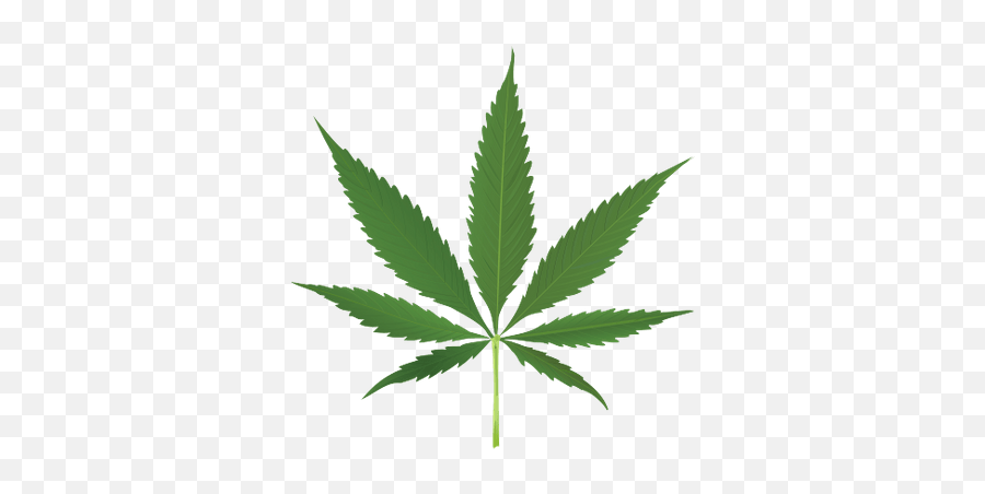 Weed Png And Vectors For Free Download - Transparent Background Cannabis Leaf Graphic Emoji,Pot Leaf Emoji Android