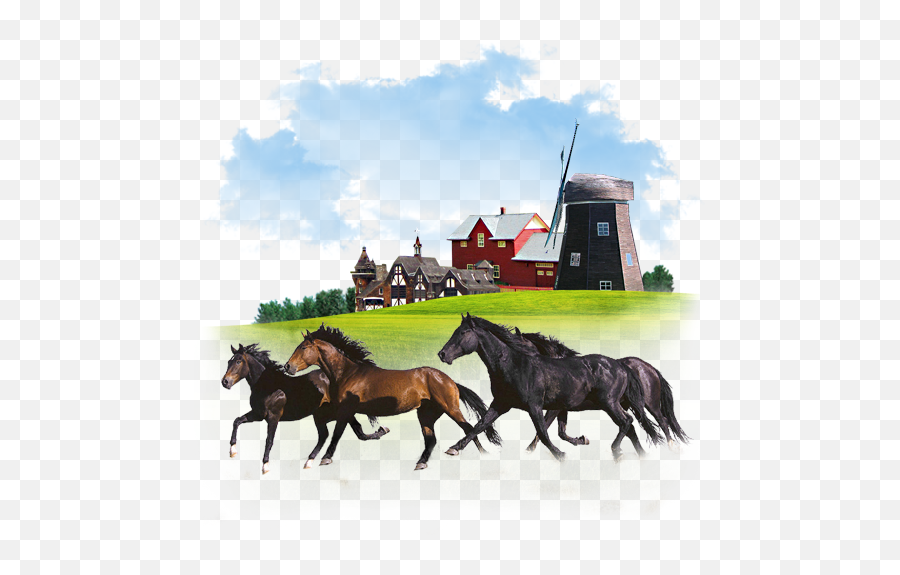 Animals Horses Icon My Seven Iconset Itzik Gur - Wild Horses Running Arizona Emoji,Horse Emoticon