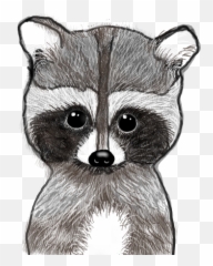 Popular And Trending Raccoon Stickers - Procyon Emoji,Raccoon Emoji