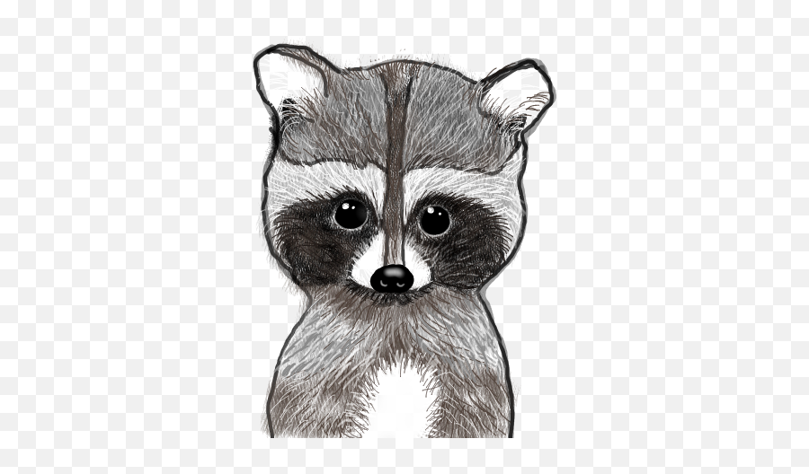 Popular And Trending Raccoon Stickers - Procyon Emoji,Raccoon Emoji