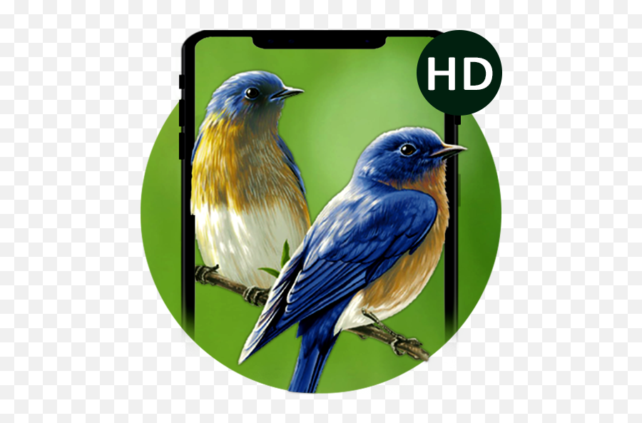 Beauty Birds Live - Birds Emoji,Bluebird Emoji