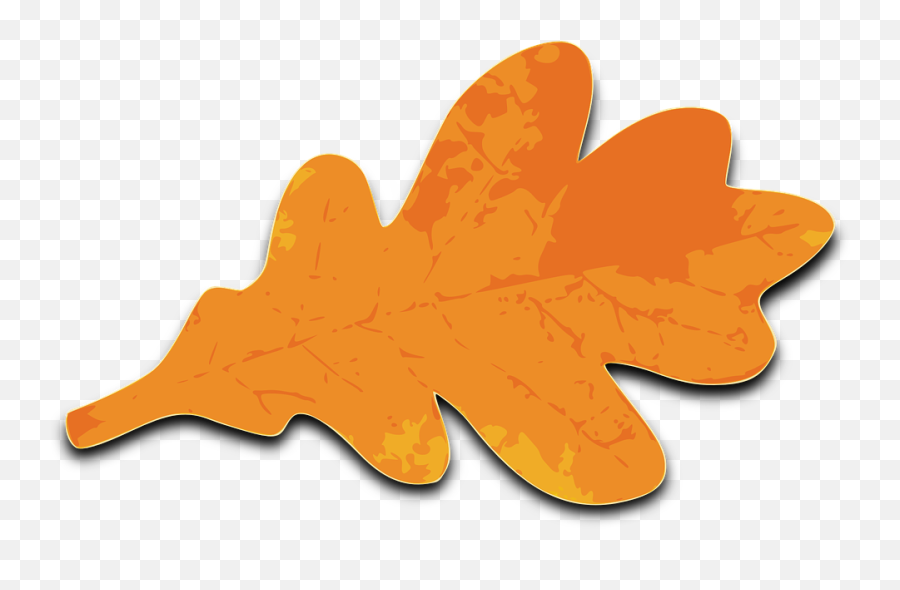 Free Oak Tree Vectors - Oak Leaves Clip Art Emoji,Maple Leaf Emoticon