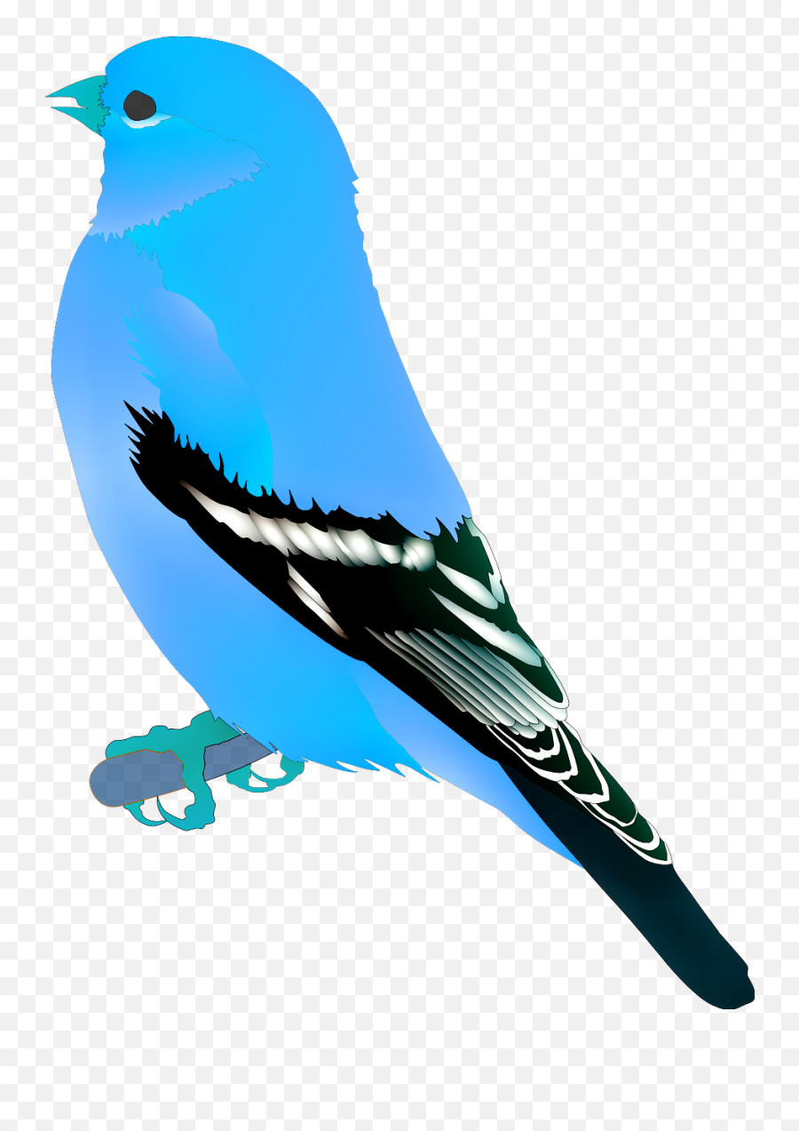 Bird Bluebird Blue - Bird Sitting Silhouette Png Emoji,Bluebird Emoji