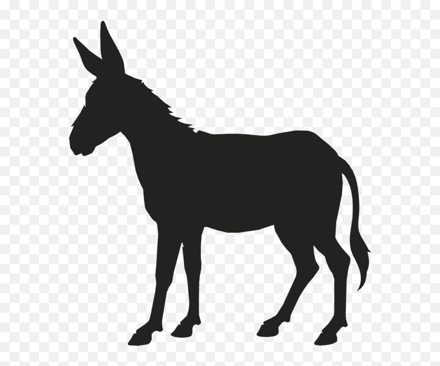 Mule Outline Png U0026 Free Mule Outlinepng Transparent Images - Silhouette Donkey Clipart Emoji,Donkey Emoji Facebook