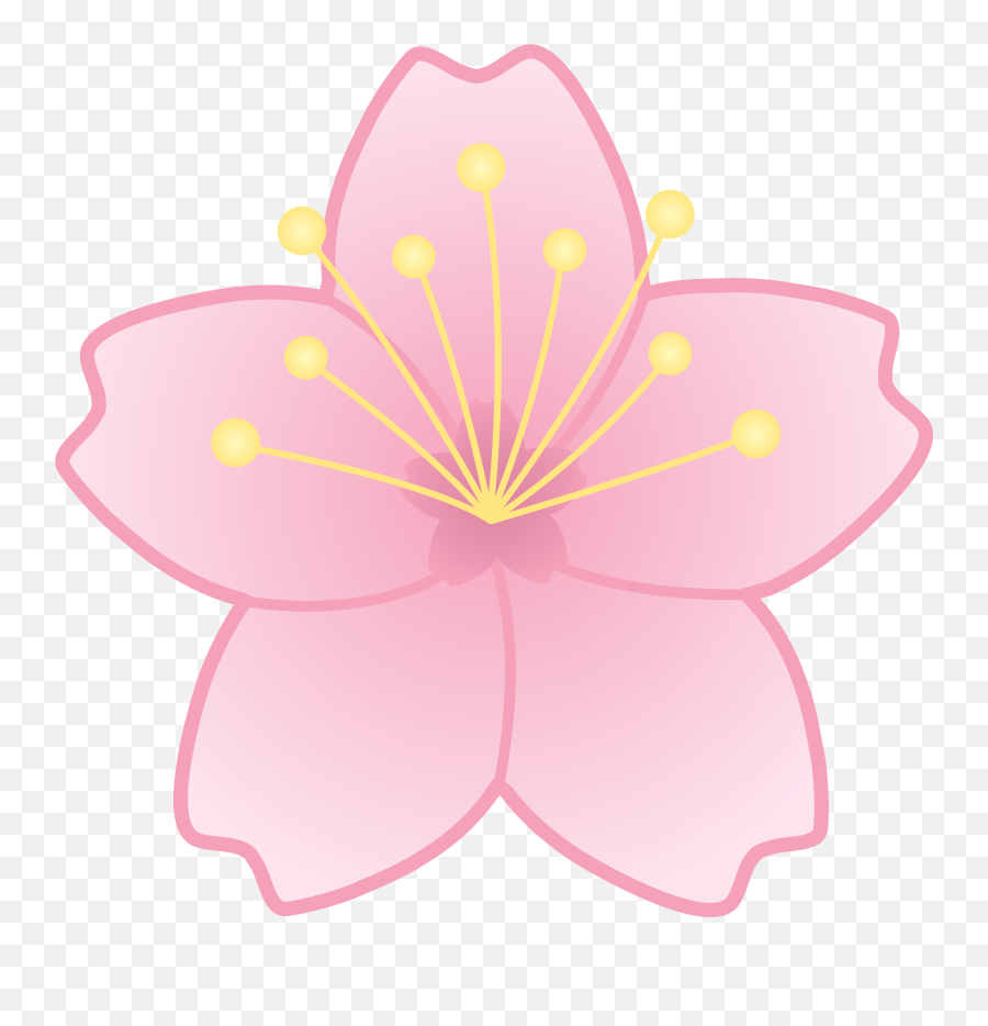 Pink Cherry Blossom Flower - Cherry Blossom Flowers Emoji,Cherry Blossom Emoji