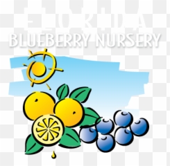 Blueberries Clipart Blueberry Plant - Sweet Lemon Emoji,Blueberry Emoji