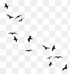 You Do Have A Way Of Leaving Chaos In Your Wake - Simple Flying Bird Silhouette Emoji
