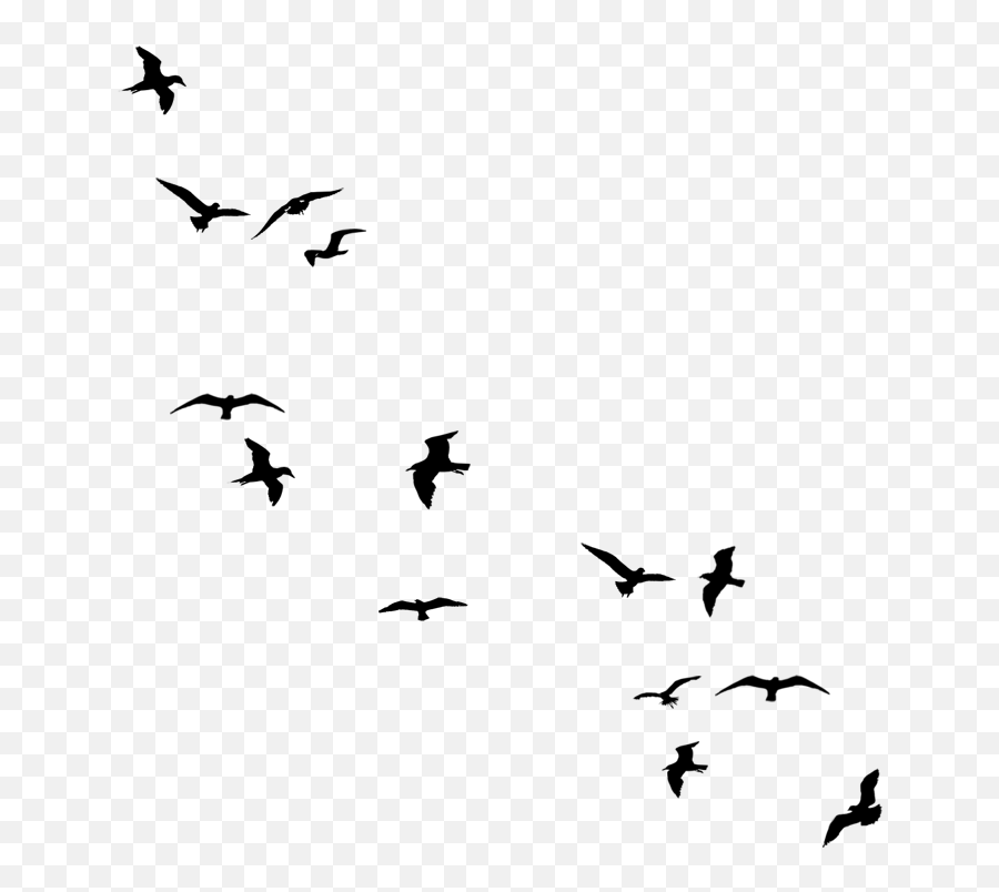 You Do Have A Way Of Leaving Chaos In Your Wake - Simple Flying Bird Silhouette Emoji,Black Bird Emoji