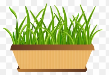 Flower Pot Clipart - Transparent Backgroup Pot Of Flowers Clipart Emoji,Potted Plant Emoji