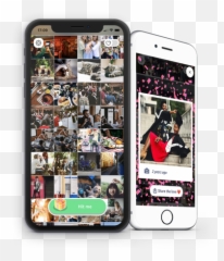 Zyl is now a nostalgia - powered photo app Public News Iphone Emoji