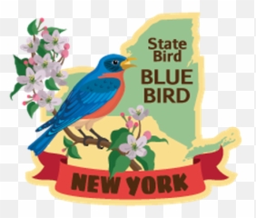 Picture - New York State Bird Clipart Emoji,Bluebird Emoji