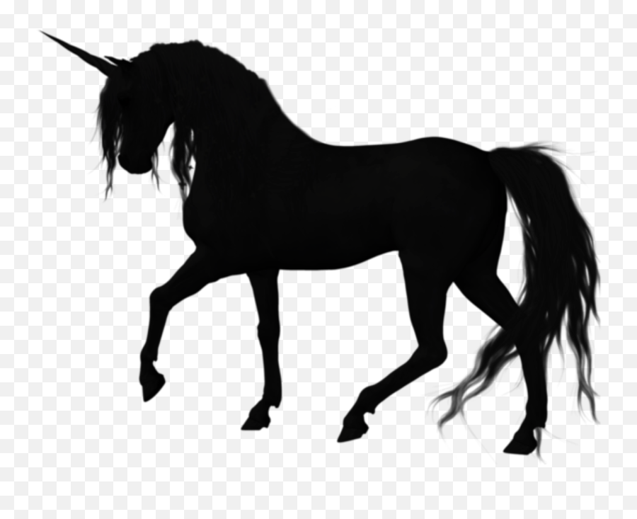 American Quarter Horse Stallion - Horse Vector Image Psd Emoji,Unicorn Emoji Black And White