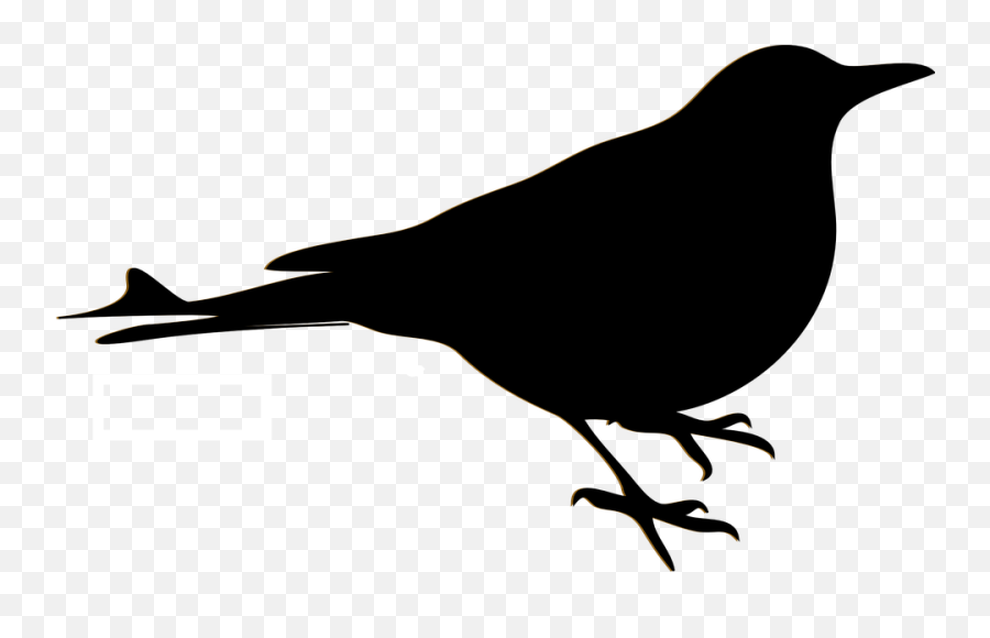 Bird Blackbird Sillhouette - Blackbird Drawing Emoji,Raven Bird Emoji