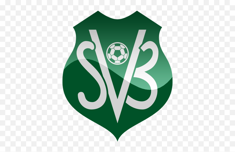 Suriname Football Logo Png - Suriname Football Association Emoji,Suriname Flag Emoji