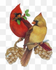 Cardinal Ornaments Transparent Png - Male And Female Painting Emoji