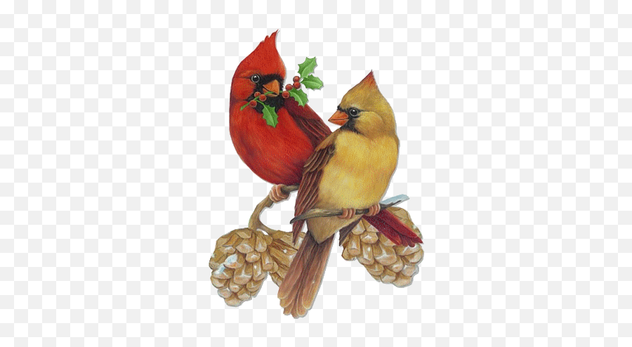 Cardinal Ornaments Transparent Png - Male And Female Cardinal Painting Emoji,Cardinals Emoji