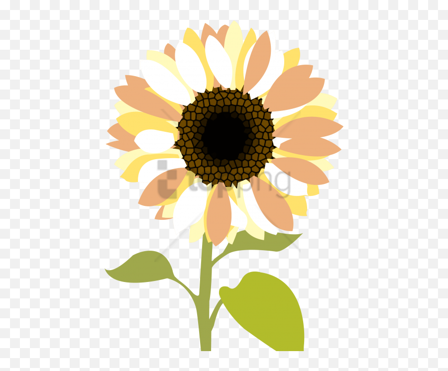 Download Free Png Sunflower Clipart Png Png Image With - Clip Art Sunflower Transparent Background Cartoon Emoji,Mercy Emoji