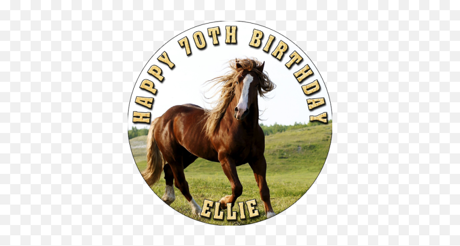 Wild Animal Acrylic Happy Birthday Cake Topper Party - Fond D Écran Cheval Alezan Emoji,Emoji Horse And Plane