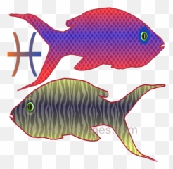 Tomorrows Horoscopes For Pisces Sun - Pisces June 2020 Luck Emoji,Pisces Emoji