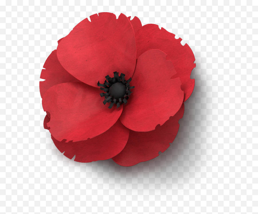 Download Poppy Flower Veterans Day - Clip Art Remembrance Poppy Clipart Remembrance Day Emoji,Memorial Day Emoji