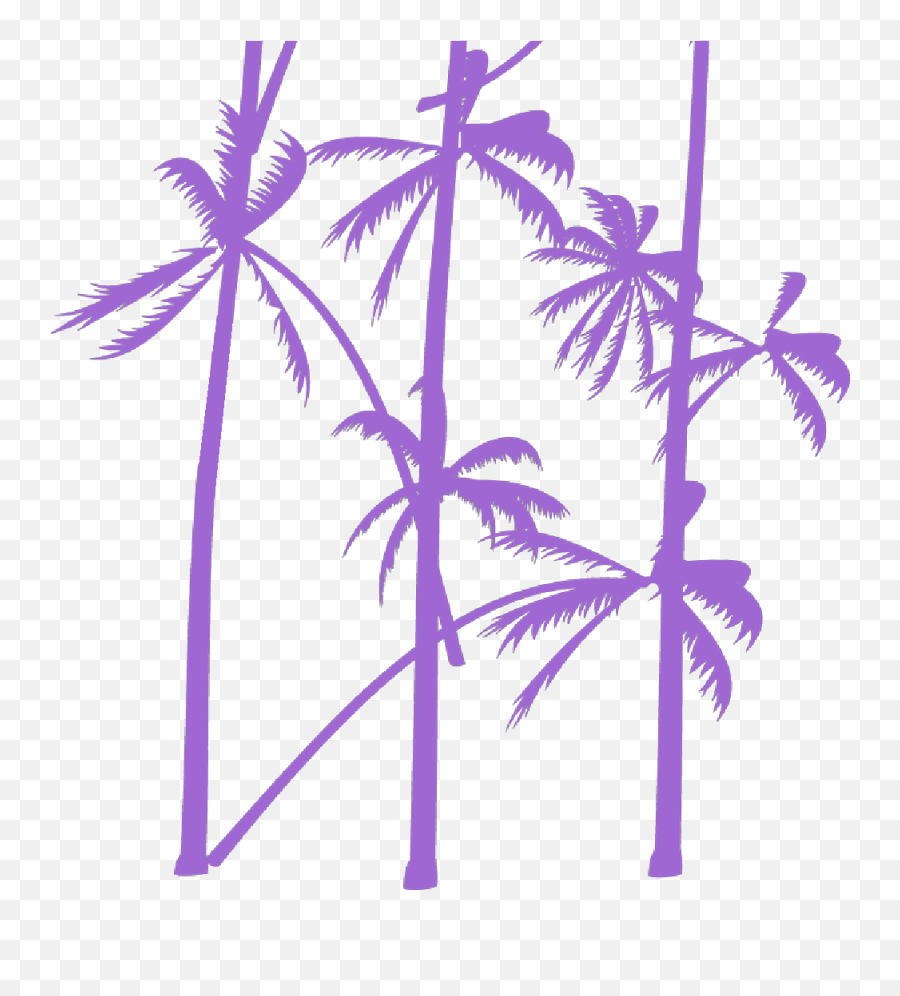 Palm - Attalea Speciosa Emoji,Palm Tree Emoji Png