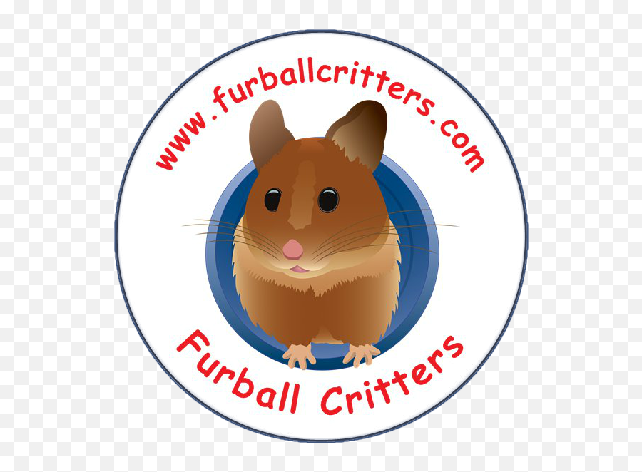 Orange Clipart Hamster Orange Hamster Transparent Free For - Rat Emoji,Hamster Emoji