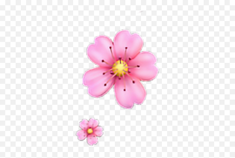 Freetoedit Floweremoji Flower Emoji Iphone Iphoneemoji - Iphone Pink Flower Emoji,Cherry Blossom Emoji
