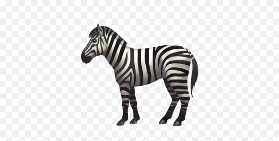 Zebra - Zebra Emoji,Animal Emojis