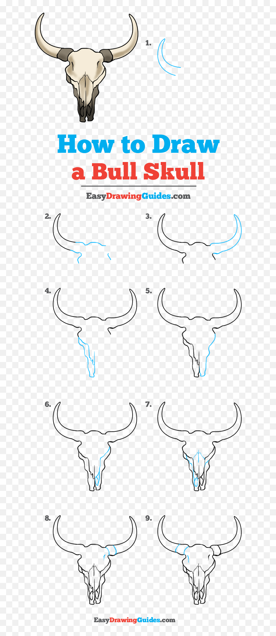 How To Draw A Bull Skull - Really Easy Drawing Tutorial Step By Step Easy Pig Drawing Emoji,Longhorn Emoji