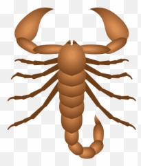 Scorpion U2014 Png - Big Emoji,Scorpion Emoji