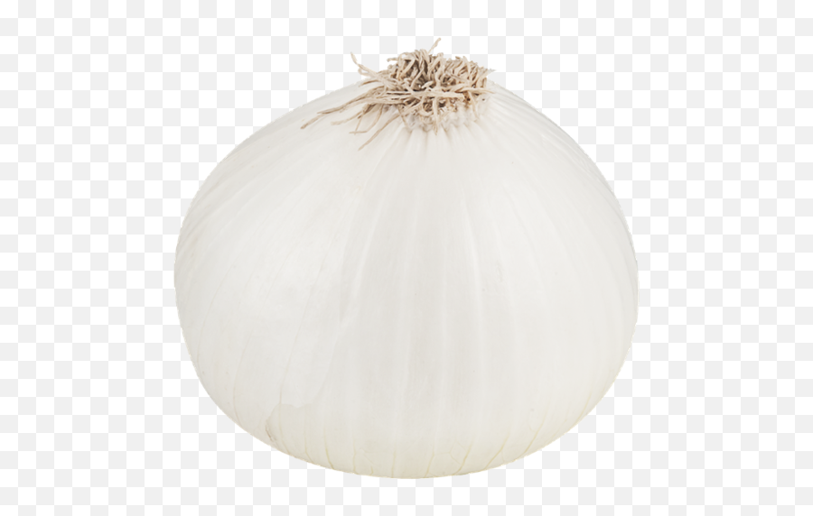 Download White Onion File Hq Png Image - White Onion Png Emoji,Onion Emoji