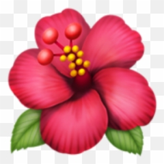 Emoji Ios Whatsapp - Hawaiian Hibiscus,Hibiscus Emoji