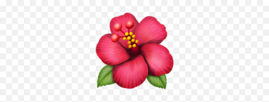 Emoji Ios Whatsapp - Hawaiian Hibiscus,Hibiscus Emoji